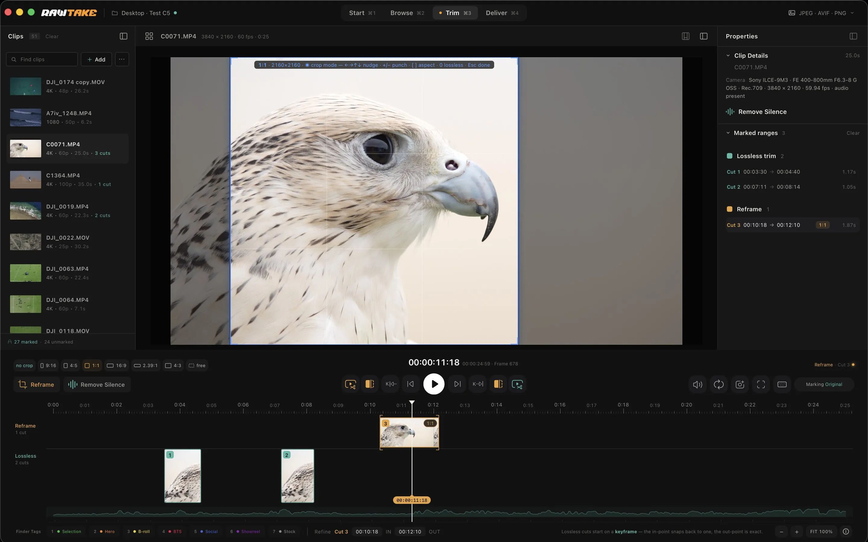 RawTake’s reframe: a square crop box placed over a falcon’s head in the viewer, with the reframe cut in the upper lane of the timeline